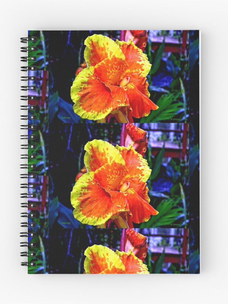 Thumbnail 1 of 3, Journal, Intense designed and sold by V1mage.