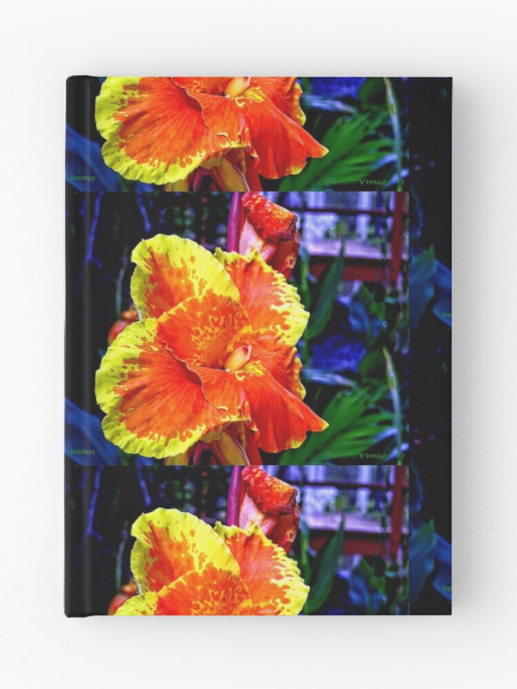 Thumbnail 1 of 3, Journal, Intense designed and sold by V1mage.