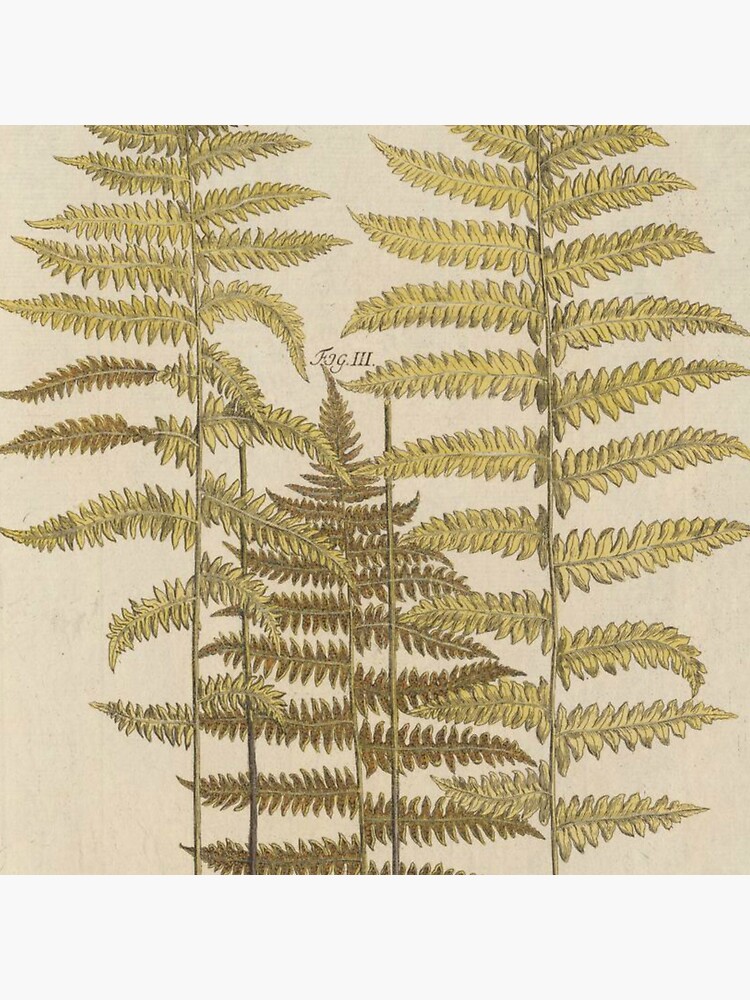 Vintage Fern Botanical by bluespecsstudio