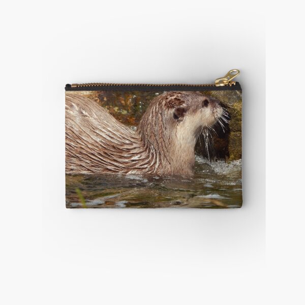 Item preview, Swimming Otter designed and sold by wallcat.