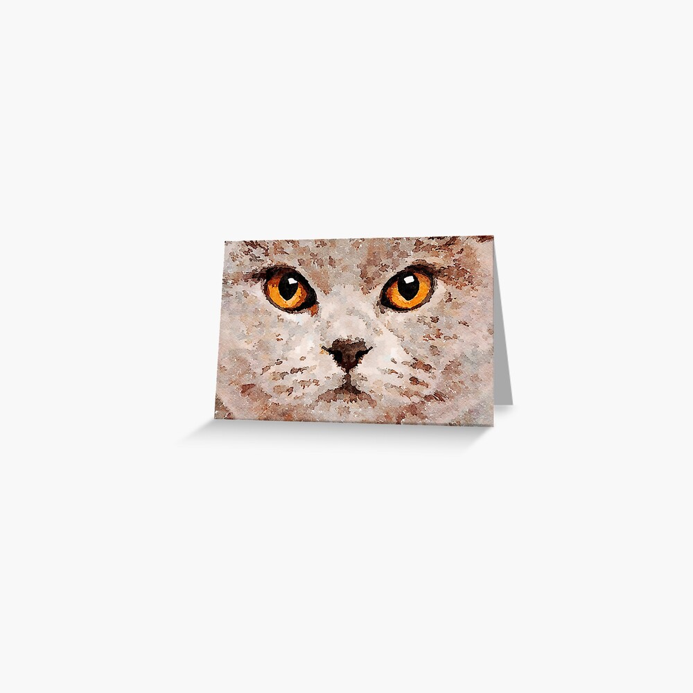 Cat Eyes Greeting Card