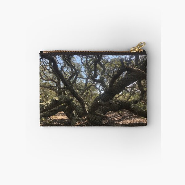 Item preview, Oldest Tree on the Island, Ocracoke North Carolina designed and sold by rachelhaak.