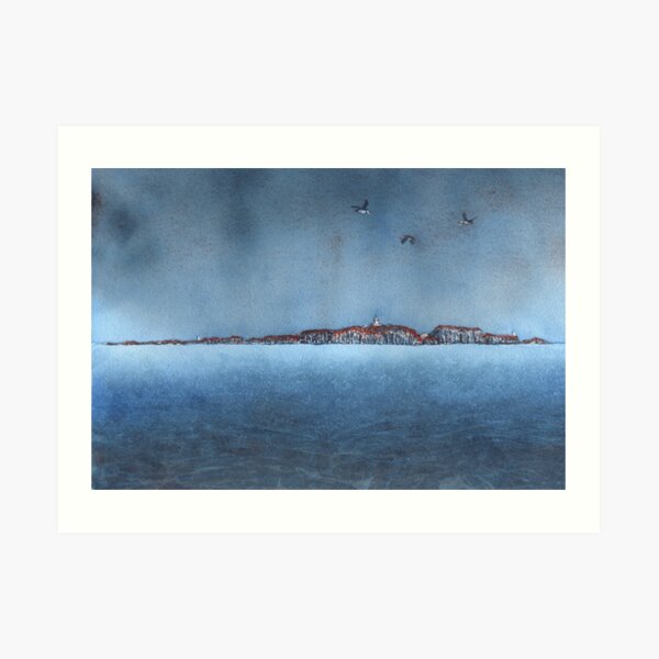 Isle of May with Puffins, July 2019 Art Print