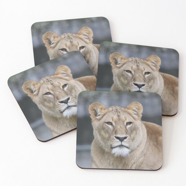 Item preview, Lion 004 designed and sold by JAMFoto.