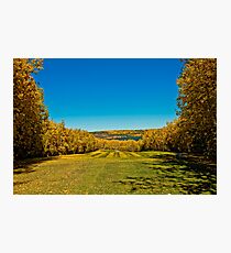 13th Hole @ Lakepoint G/C Autumn Photographic Print