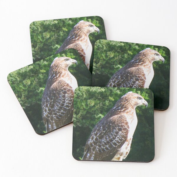Item preview, Red Tailed Hawk designed and sold by Claude Johnson.