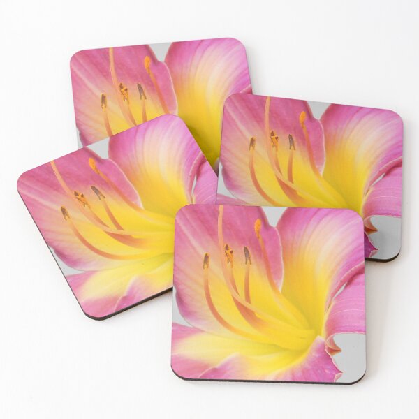Item preview, Multi Coloured Lily designed and sold by vette.