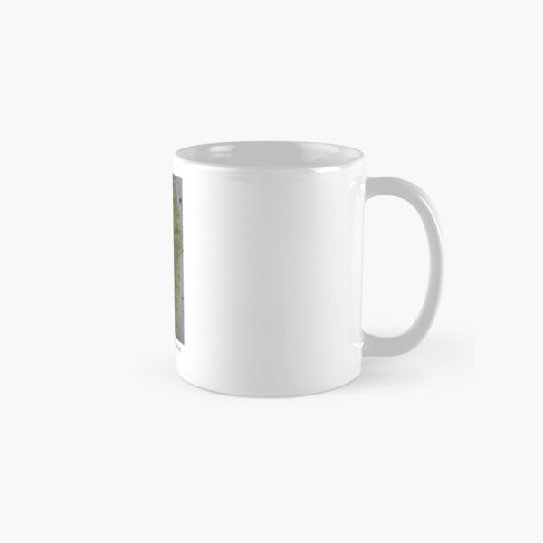 surrender or be fed to the moss Classic Mug