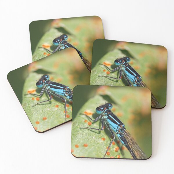 Item preview, Damselfly close up designed and sold by GreyFeatherPhot.