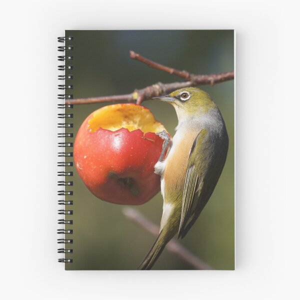 Item preview, waxeye with apple designed and sold by Brenda Anderson.