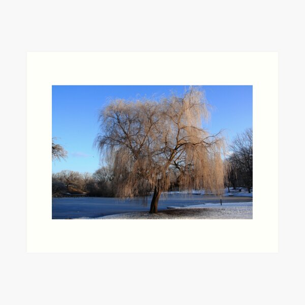 Item preview, Winter Willow designed and sold by Paul Bettison.