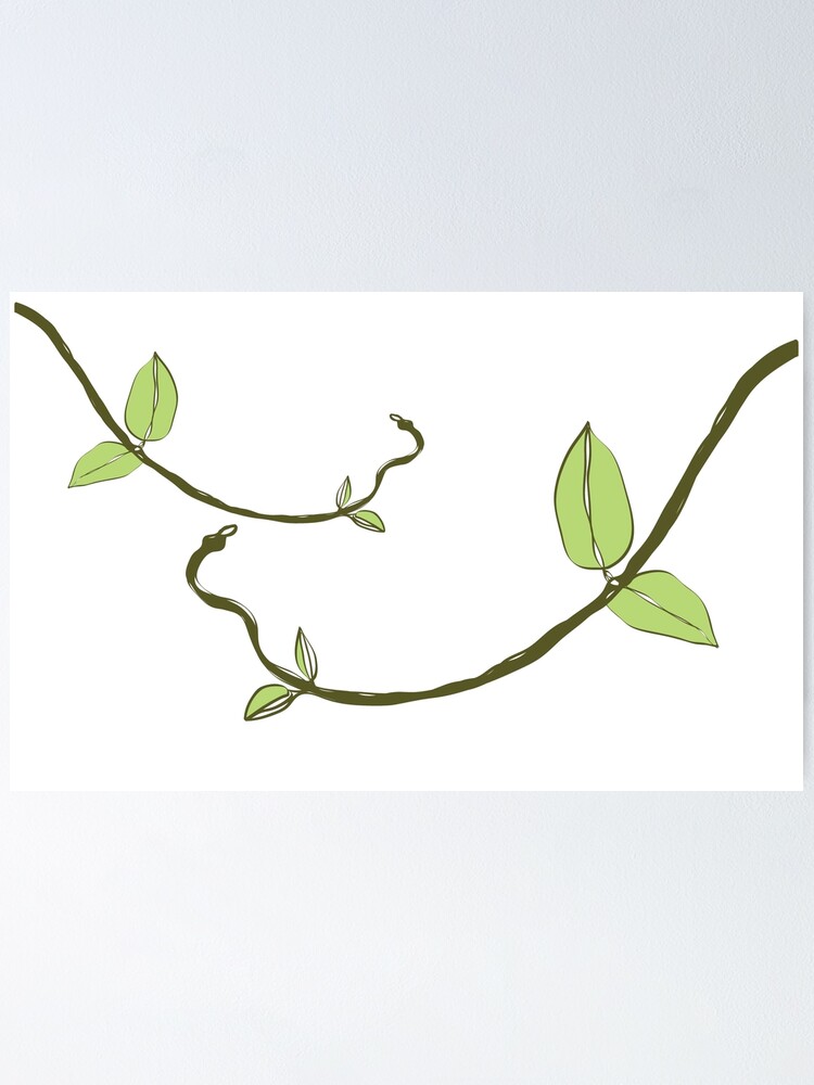 "green vine ,creeper plant one line drawing" Poster by Alex469546