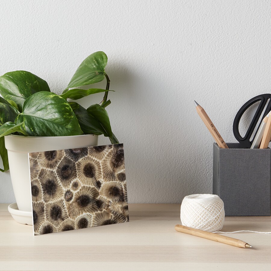 Item preview, Art Board Print designed and sold by ilzesgimene.