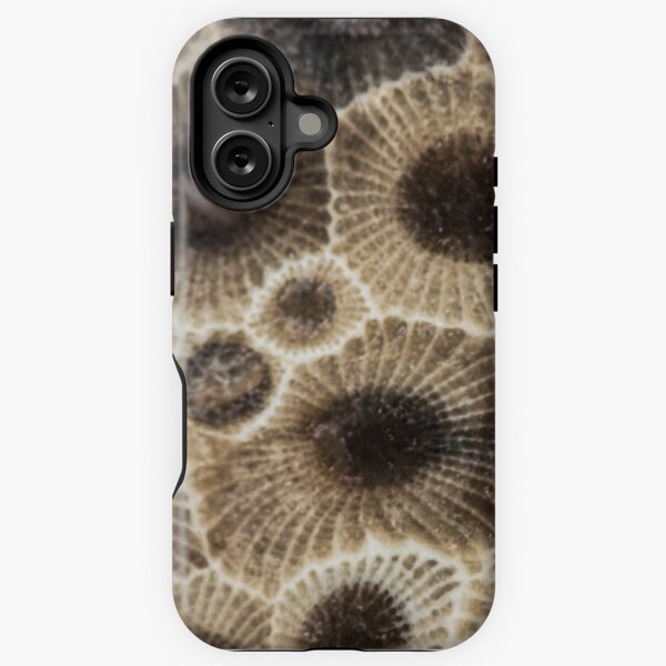 Aperçu de l'œuvre Petoskey Stone créée et vendue par Ilze Lucero.