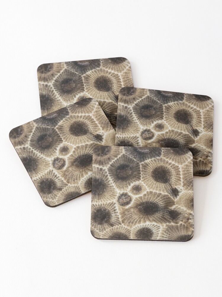Thumbnail 1 of 5, Coasters (Set of 4), Petoskey Stone designed and sold by ilzesgimene.