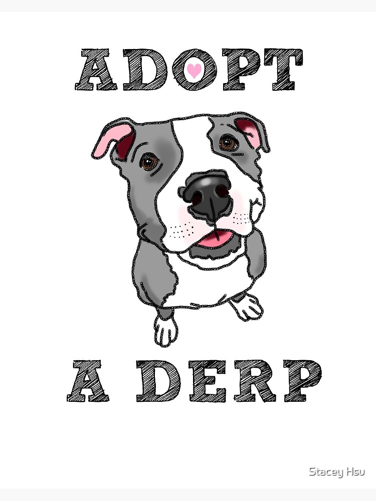 Adopt a sale pit rescue