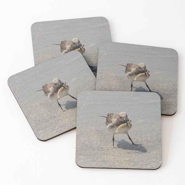 Item preview, Laughing Gull With Shrimp designed and sold by Zina Stromberg.