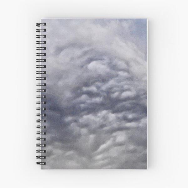 Item preview, ©HCS Thinking Out Cloud IA. designed and sold by OmarHernandez.