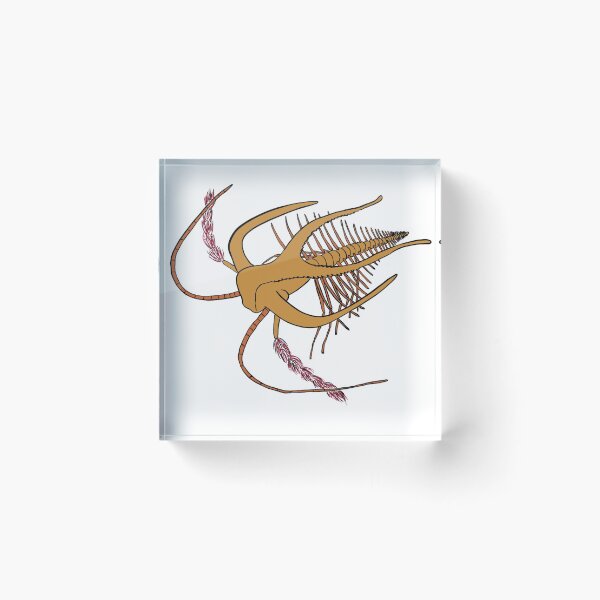 Item preview, Marrella Splendens  designed and sold by GenteriesCloset.