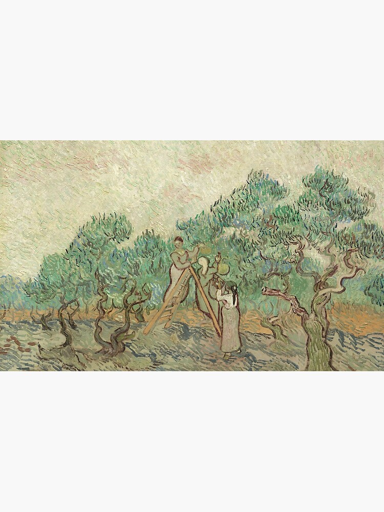 The Olive Orchard by Vincent van Gogh - Classic Art by podartist