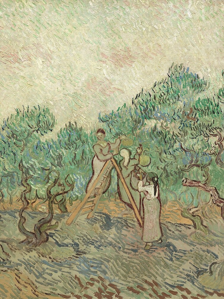 The Olive Orchard by Vincent van Gogh - Classic Art by podartist