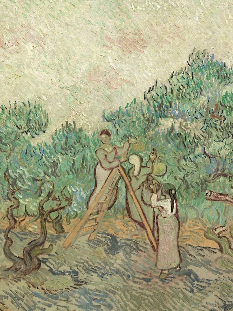 The Olive Orchard by Vincent van Gogh - Classic Art by podartist
