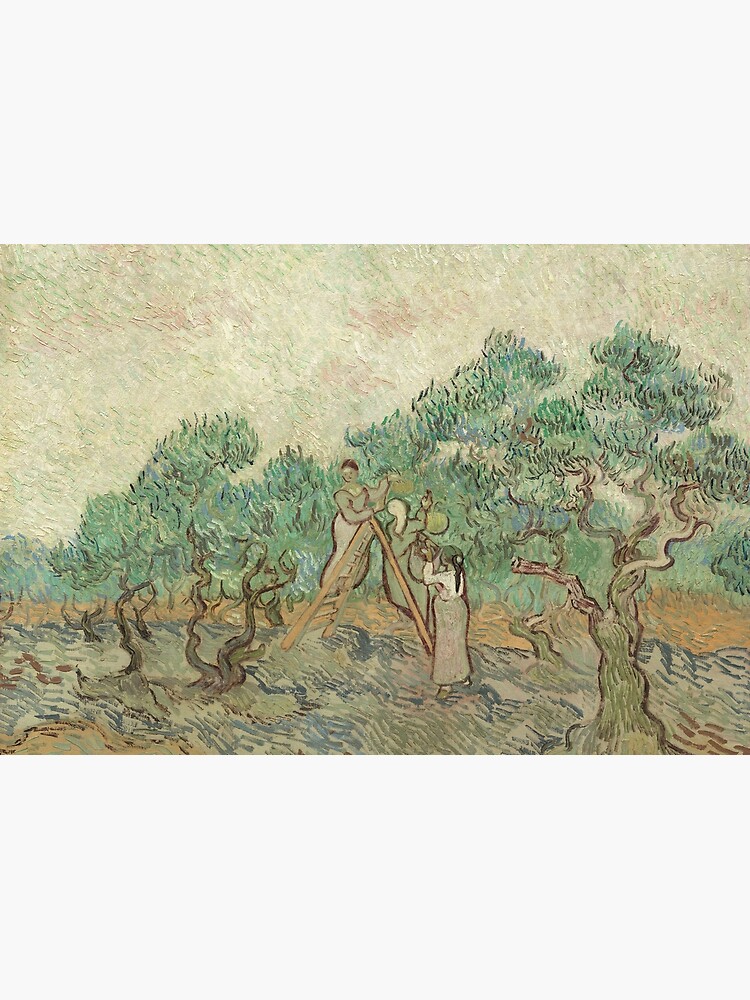 The Olive Orchard by Vincent van Gogh - Classic Art by podartist