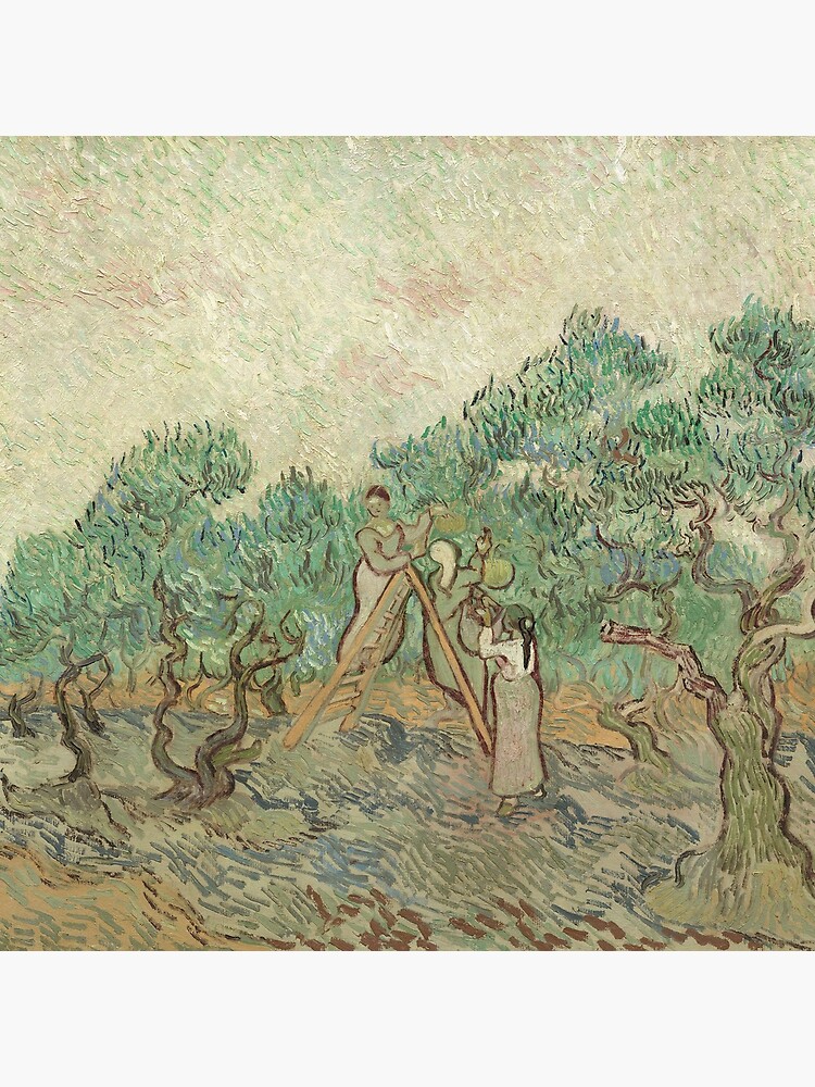 The Olive Orchard by Vincent van Gogh - Classic Art by podartist