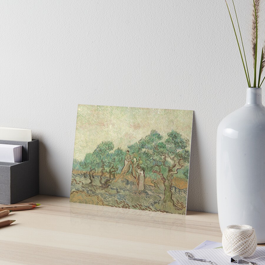 The Olive Orchard by Vincent van Gogh - Classic Art Art Board Print