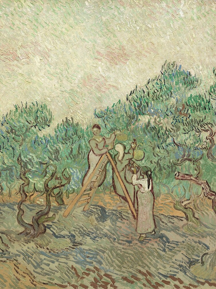 The Olive Orchard by Vincent van Gogh - Classic Art by podartist