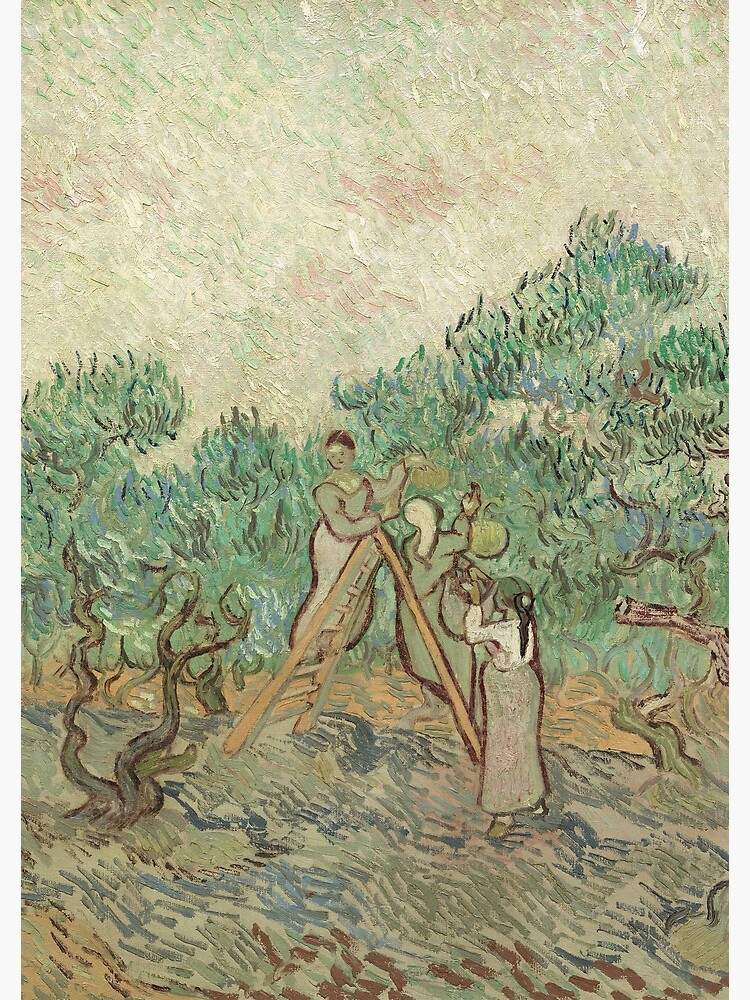 The Olive Orchard by Vincent van Gogh - Classic Art by podartist
