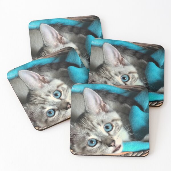 Item preview, Kitten in a basket designed and sold by JanineEK.