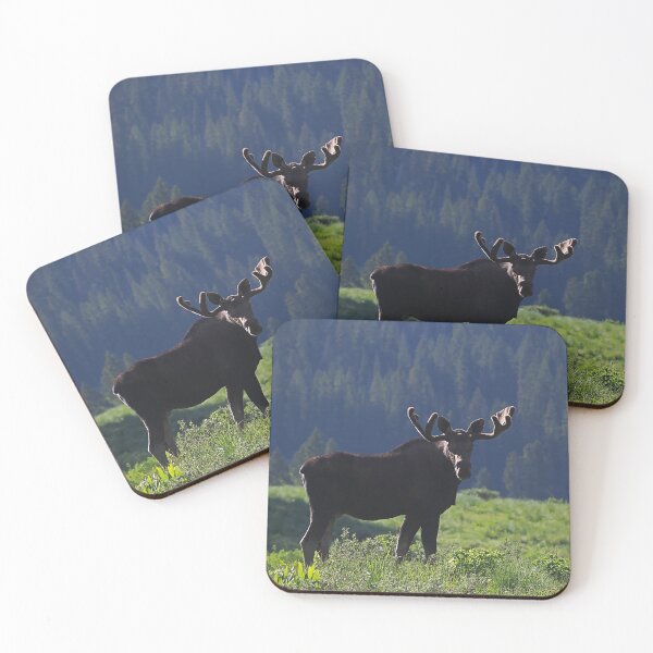 Item preview, Young Moose Bull  designed and sold by Alla Gill.