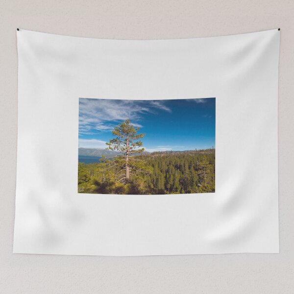Item preview, Lonely Pine Tree  designed and sold by Alla Gill.