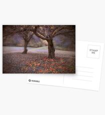 fallen fruit Postcards