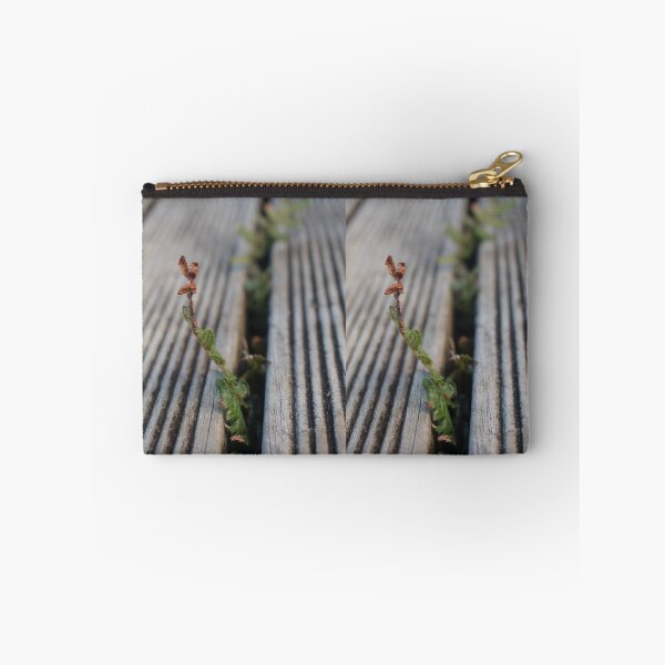Item preview, Fern growing through deck designed and sold by LeighsDesigns.