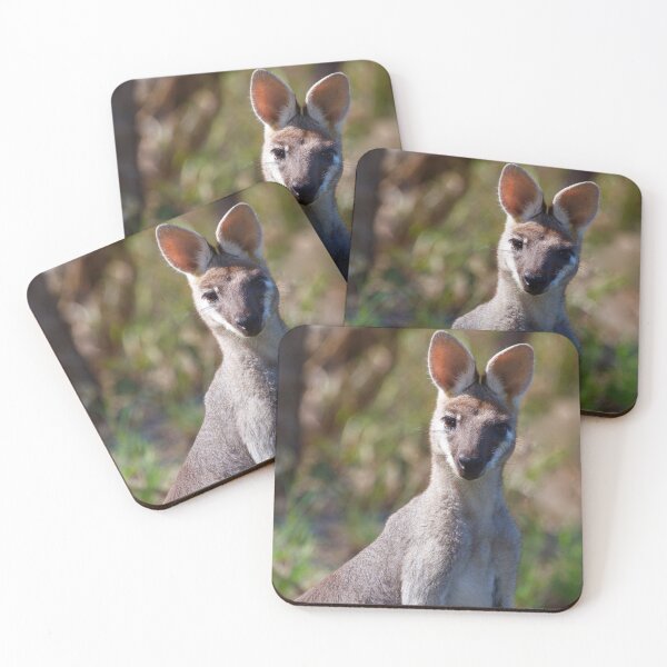Item preview, Pretty faced Wallaby designed and sold by MargsNaturePix.