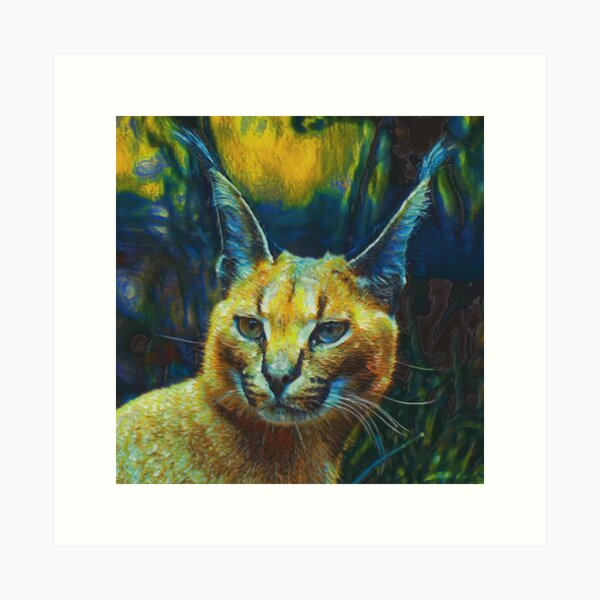 Caracal II Art Print