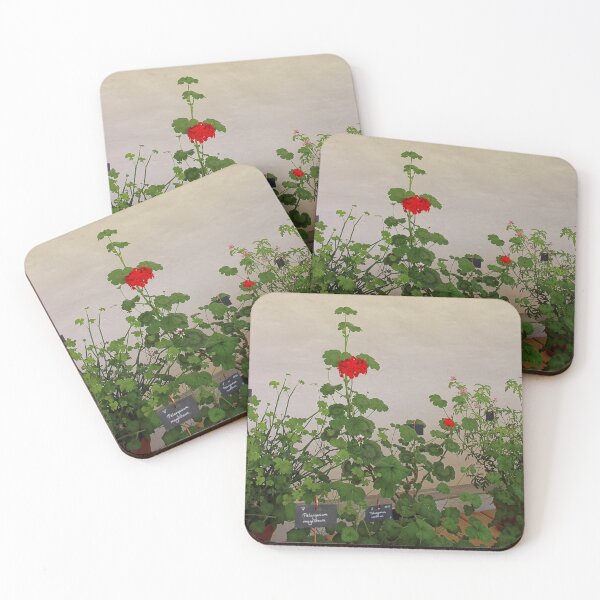 Item preview, Geraniums (Pelargonium) #11 designed and sold by Hell-Prints.