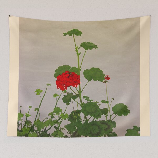Item preview, Geraniums (Pelargonium) #10 designed and sold by Hell-Prints.