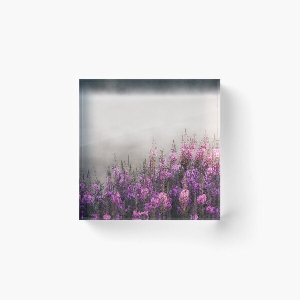 Item preview, Royale designed and sold by Matti Ollikainen.