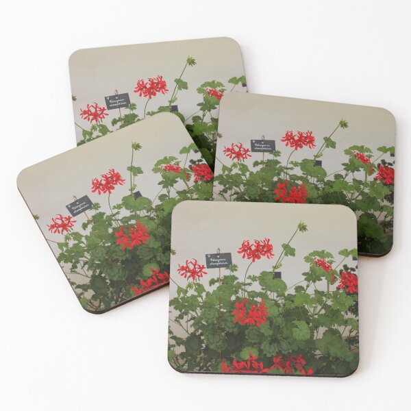 Item preview, Geraniums (Pelargonium) #8 designed and sold by Hell-Prints.