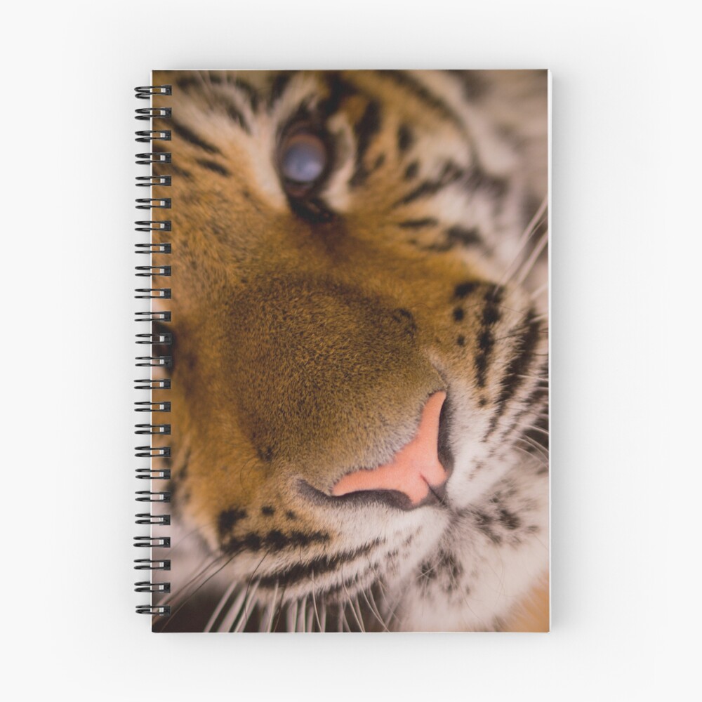 Item preview, Spiral Notebook designed and sold by AbstractCreatur.