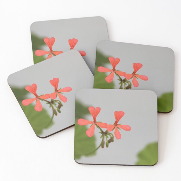 Item preview, Geraniums (Pelargonium) #1 designed and sold by Hell-Prints.