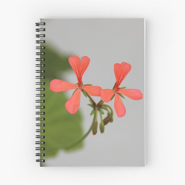 Item preview, Geraniums (Pelargonium) #1 designed and sold by Hell-Prints.