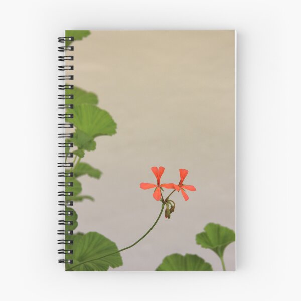Item preview, Geraniums (Pelargonium) #2 designed and sold by Hell-Prints.