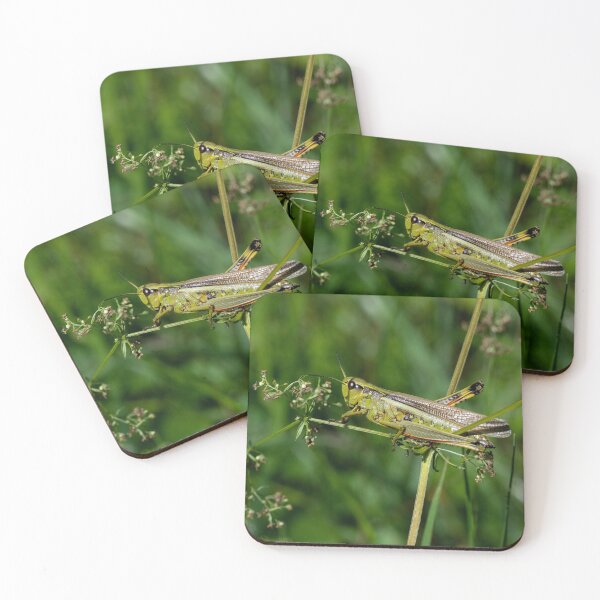 Item preview, Grasshopper designed and sold by Kasia Design.