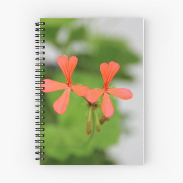 Item preview, Geraniums (Pelargonium) #3 designed and sold by Hell-Prints.