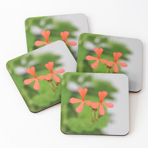 Item preview, Geraniums (Pelargonium) #3 designed and sold by Hell-Prints.