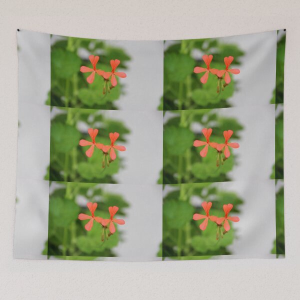 Item preview, Geraniums (Pelargonium) #3 designed and sold by Hell-Prints.